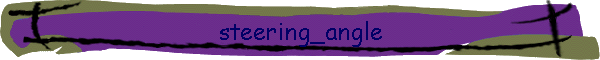 steering_angle